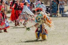 Annual Pow Wow and California Native American Day Celebration