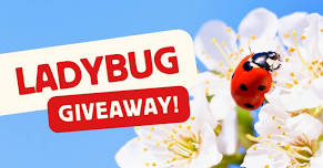 8th Annual Ladybug Giveaway