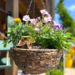 Create your own Hanging Basket