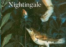 Reaching for the Nightingale - Book Release celebration