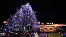 Old-Fashioned Christmas Tree Lighting