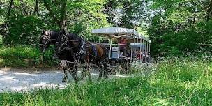 Carriage Ride, Saturday May 4