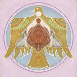 Wombn’s Circle — Embodied Sanctuary