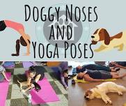 Doggy Noses and Yoga Poses at Eavesdrop Brewery