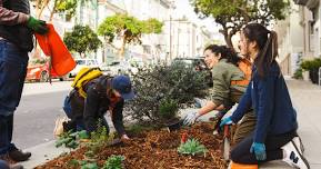 Rain Garden Work Party