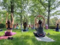 Yoga in the Park