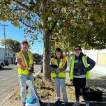 Let's Beautify Eureka- W. Wabash Neighborhood