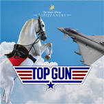 A Top Gun Flight with the South African Lipizzaners