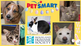 Petsmart Offsite Adoption Event