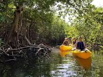 Matheson Mangrove Kayak Trek