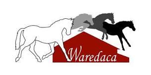 Waradaca Pony Club Trivia Fundraiser,