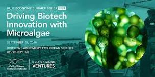 Blue Economy Summer Series: Driving Biotech Innovation with Microalgae