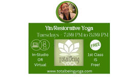 Yin/Restorative Yoga