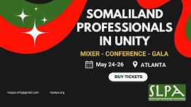 Empowering Tomorrow: Somaliland Professionals in Unity