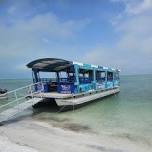 Island Cruise to Anclote Key 6/15/24 from 8:30am-3pm