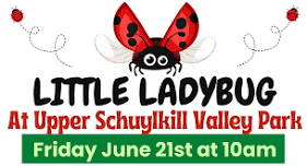 Little Lady Bug at Upper Schuylkill Valley Park