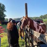 Birding on Horseback