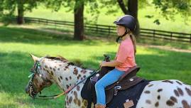 Half Day Horse Riding Camp