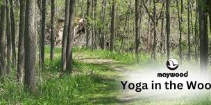 Yoga in the Woods