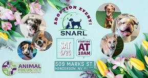 SNARL ADOPTION EVENT