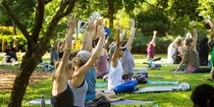 Yoga in the Garden