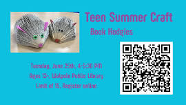 Teen Summer Craft – Book Hedgies