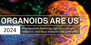 Organoids Are Us 2024