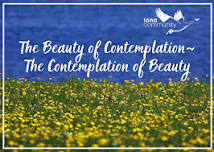 The Beauty of Contemplation~The Contemplation of Beauty