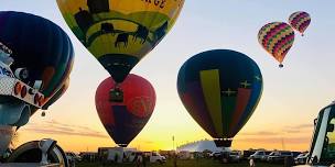 hot air balloon festival