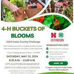 Buckets of Blooms