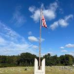 Magnolia Cemetery Work Day