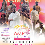 Levitt AMP Selma 2024: Element XI