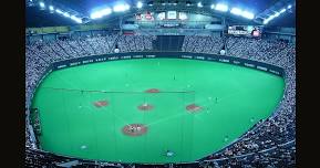 Hanshin Tigers vs Hokkaido Nippon Ham Fighters, 30 May 2024