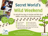 Secret World’s Wild Weekend