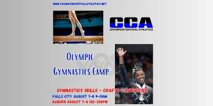 Olympic Gymnastics Camp-Falls City