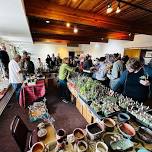 Santa Fe Cactus & Succulent Club SPRING PLANT SHOW & SALE