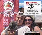 Toyota of Santa Fe hosts adoption event