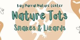 Nature Tots - Snakes and Lizards