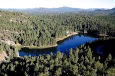 Songbird of the Black Hills Campground Sing-Along