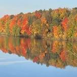 Fall Colors Forest Foray — Oceana Conservation District