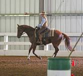 Working Equitation with Stephanie Jennings Clinic