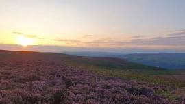 Summer Run on Ilkley Moor