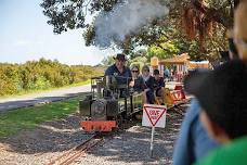 Thames Small Gauge Railway