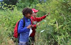 Junior Ranger Adventure Camp