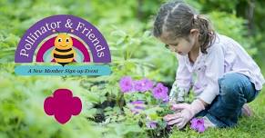 Camden-Rockport | Pollinator & Friends: A Girl Scouts Information & Sign-up Event