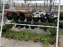 1st Annual Beckman Catholic Spring Plant Sale