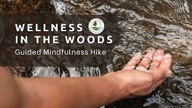 Guided Mindfulness Hike