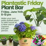 Plantastic Friday - Patio Potted Plant Bar