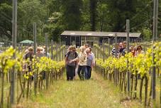 Albury Vineyard Tour & Tasting