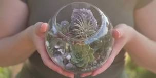 Summer Terrarium Making Class